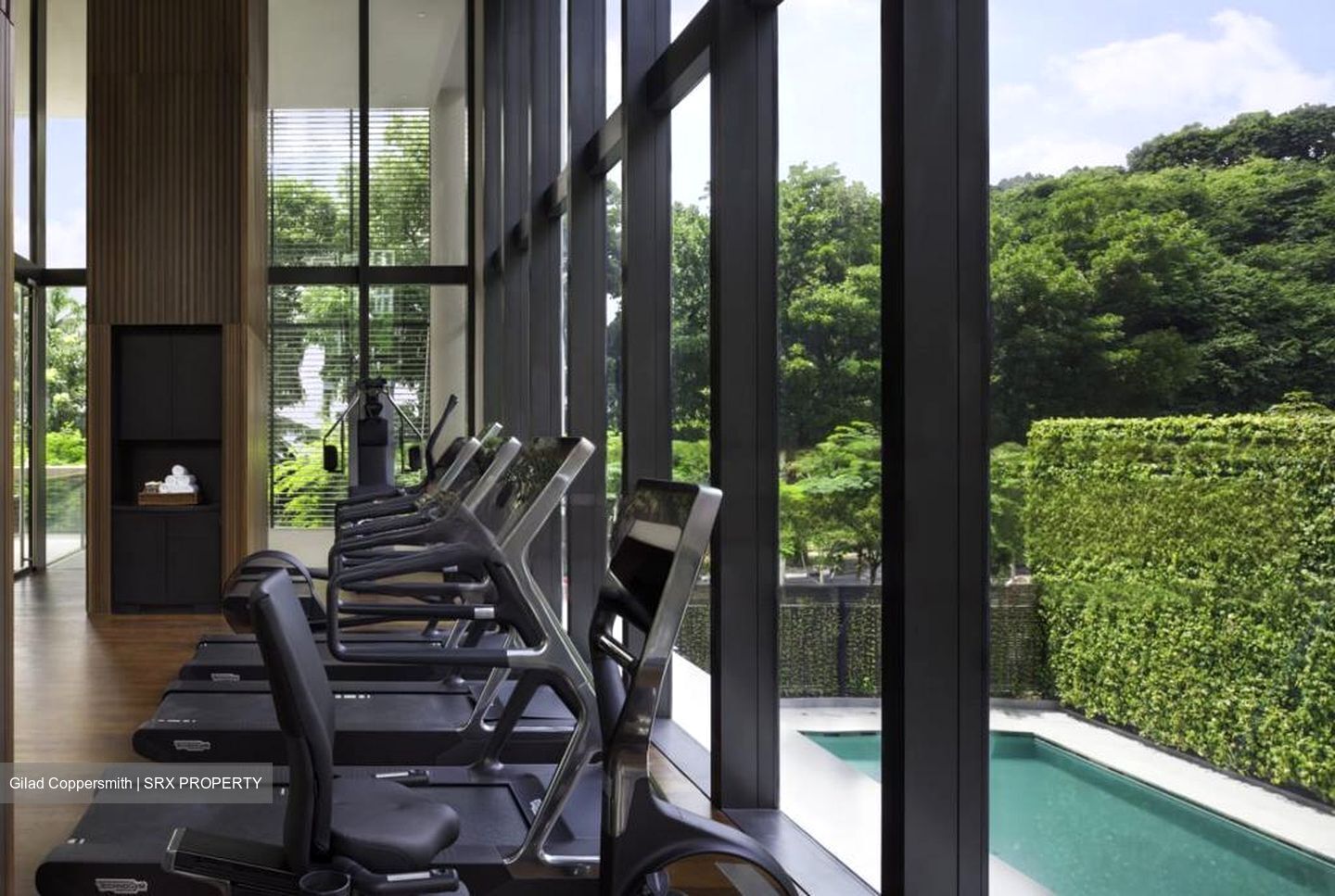 Hana (D10), Condominium #443669081